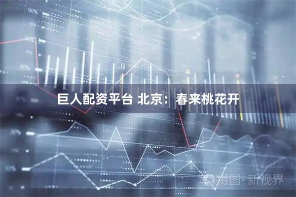 巨人配资平台 北京：春来桃花开