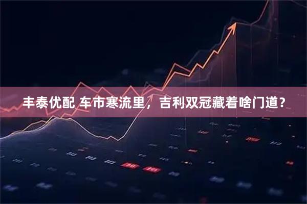丰泰优配 车市寒流里，吉利双冠藏着啥门道？