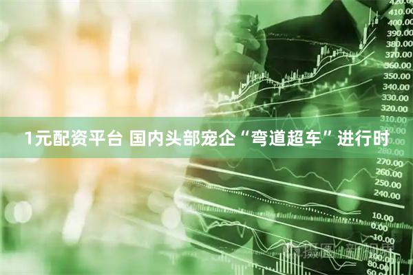 1元配资平台 国内头部宠企“弯道超车”进行时