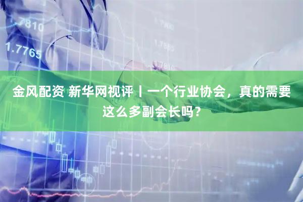 金风配资 新华网视评丨一个行业协会，真的需要这么多副会长吗？