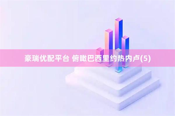 豪瑞优配平台 俯瞰巴西里约热内卢(5)