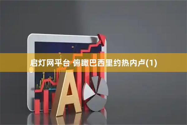 启灯网平台 俯瞰巴西里约热内卢(1)